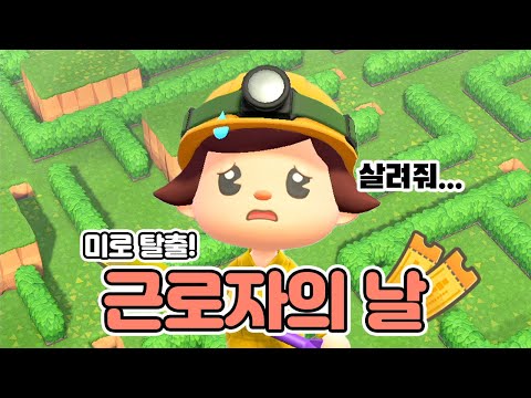 근로자의 날 투어라더니... 미로가 기다리고 있던건에 대하여