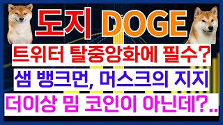 도지 코인 트위터 탈중앙화에 필수? 더이상 밈 코인이 아닌데??