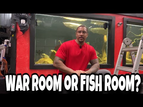 WAR ROOM OR FISH ROOM?