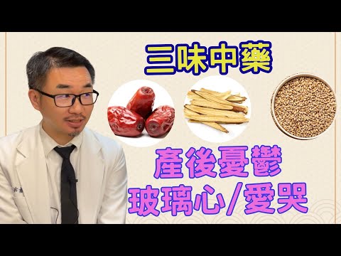 甘麥大棗湯 (一夜好眠茶)  | 中醫線上課程 | 世界華人區最強中醫教育機構  | WellnessX-Ray 中醫X光