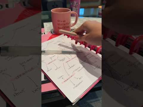 ASMR PLAN WITH ME 🤫💋 #2024goals #planwithme #bulletjournalplanwithme #asmrvideo