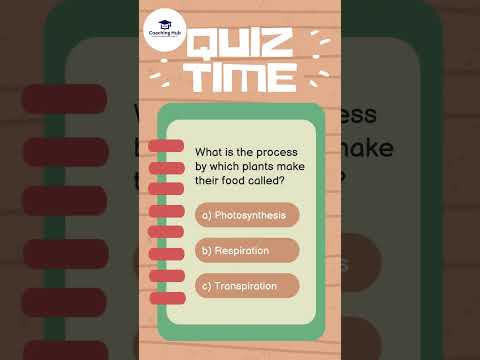 Quiz time - Coaching Hub #coachinghub #education #quiz #english