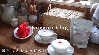 【春の台所】家を片付けて暮らしを整えた日｜無印良品とおうちカフェ｜小さな家庭菜園で収穫した野菜｜暮らしのvlog