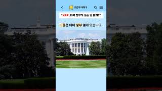 진짜 정보는? 함 알아보시죠! #shorts #XRP #xrpripple #리플 #리플코인 #리플전망 #엑스알피 #알트코인 #비트코인 #코인 #재테크 #리플코인전망