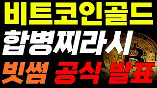 비트코인골드코인 고수들의 대응🚨🚨합병 찌라시 진실,,빗썸 공식 발표,,