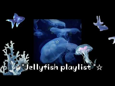 ☆°Jellyfish playlist °☆| 46 minutes of becoming a jellyfish 🪼 |tysm for 1.30k💓