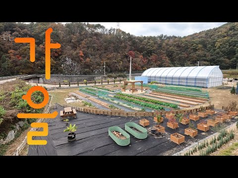 농장에도 가을이 찾아 왔습니다  / 겨울준비 / 미니말, 유산양 배딩 깔아 주기 / 말밥통 구입!