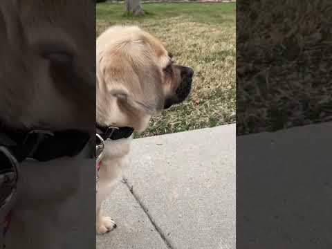 Daily Walk! March 27