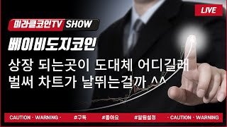 베이비도지코인대형호재 , 글로벌 탑 10거래소 신규상장 됩니다 어느거래소 상장 되길래 벌써 차트가 날뛰는걸까요 ~?^^