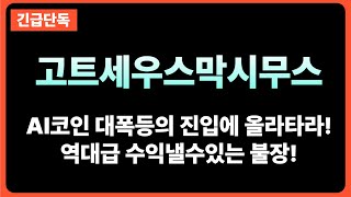 [고트세우스막시무스]불장 즐깁시다! 놓치기전 봐야할영상!