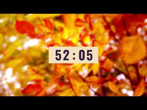 🍂 1 Hour Fall Leaves Timer | Silent Countdown for Study, Work, Cooking & Autumn Relaxation 🍁