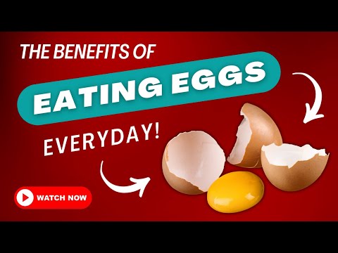 Eating Eggs Everyday - The Benefits!