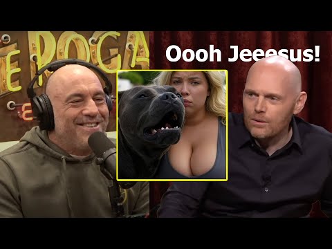 Bill Burr & Joe Rogan - Don't Be THIS Dogparent!