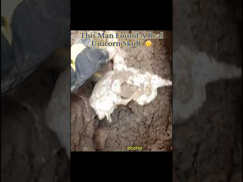 This Man Found A Real Unicorn Skull? 🤔 #interesting