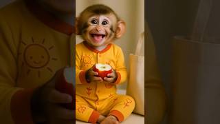 One look at this smile and I’m in love! 🐒❤️