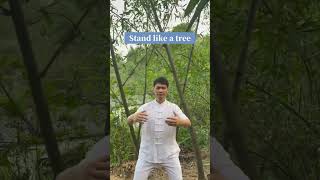 Meditation to cultivate your earth energy #meditation #energy #healing #mindfulness #taichi #qigong