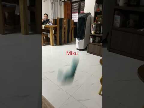 I have a miku obsession 0-0