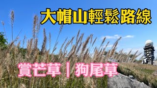 大帽山行山｜芒草季節｜簡易路線｜打卡路線介紹｜適合新手 #大帽山 #芒草 #芒草季節 #簡易路線