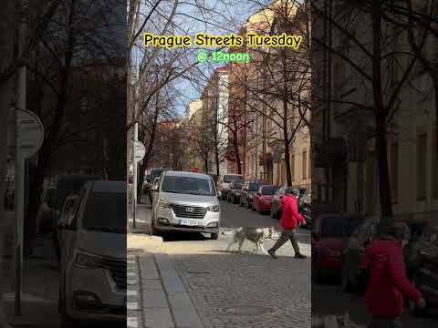 Prague Streets Tuesday @12noon | March 4, 2025