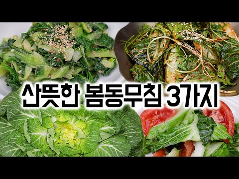 산뜻한 봄동무침 3가지(쉬워요!)🥬너무 맛있는 양념 비율👍💯😊봄동달래무침, 봄동된장무침, 봄동오이무침