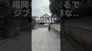 ジブリパンが可愛すぎる大人気パン屋さん🥐#AMATOグルメ#福岡グルメ