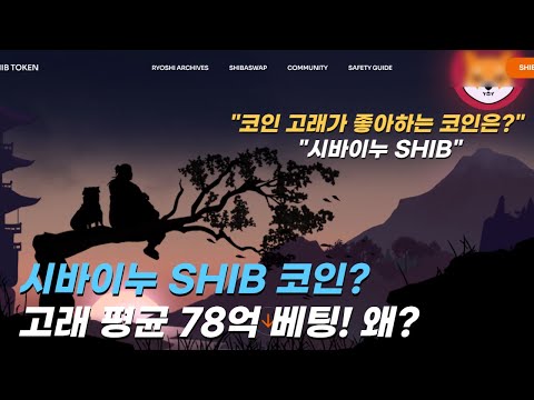 시바이누 SHIB 코인? 코인 고래가 좋아하는 코인은? 고래 평균 78억 베팅! 왜?
