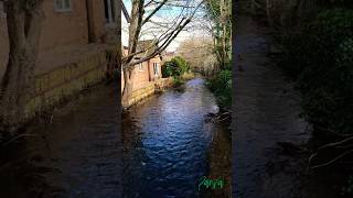 Shere #shere #guilford #england #uk #village #villagelife #countrylife #country #unitedkingdom