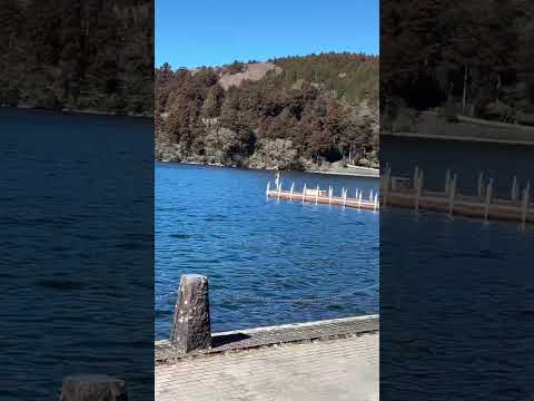悠閒欣賞湖景 #元箱根港 #湖 #蘆之湖