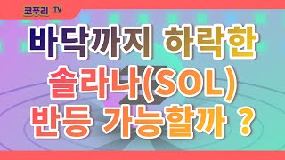 솔라나 코인(SOL), 개발자 페이지와 봉크(BONK) 호재로 바닥에서 반등할 수 있을까? 정보와 전망 분석