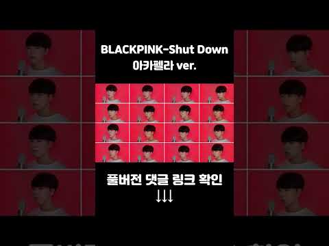 아카펠라로 부르는 Shut Down #shorts