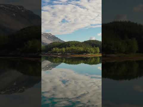 relax music, meditation music, bedtime music, lullaby music, calm music.
