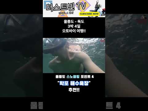 울릉도 스노클링 네번째 추천 포인트 "학포 해수욕장"