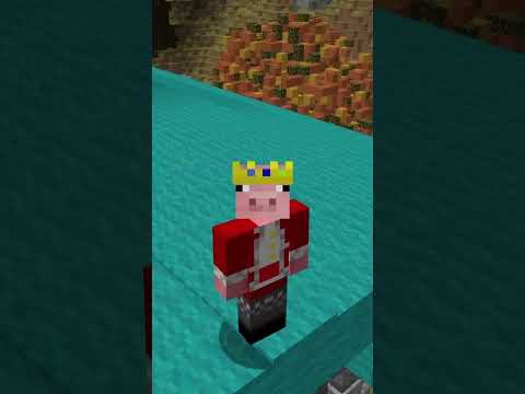Minecraft Prime is INSANE #shorts #minecraft #edit