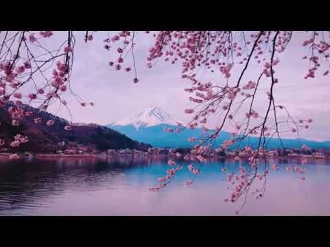 Relax music 24/7, sleep music, stress relief music, spa, meditation, yoga, zen, sleep music