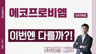 에코프로비엠 (247540) - 이번엔 다를까?!