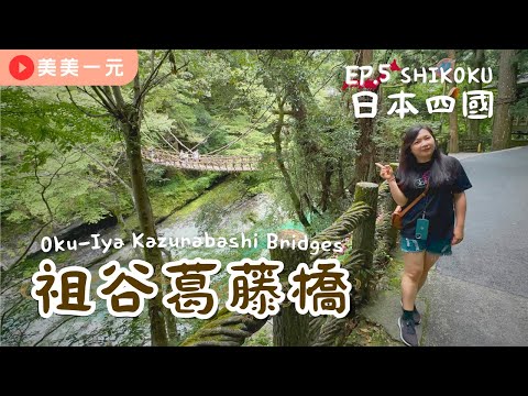 【2023日本四國】ep.5 超刺激驚險的祖谷葛藤橋！日本三奇橋之一！藤蔓編織的古吊橋！超大間隙一眼直穿溪底！擁有平家傳說的琵琶瀑布！懼高人可能無法走的抖抖橋！！｜美美一元 Japan Shikoku
