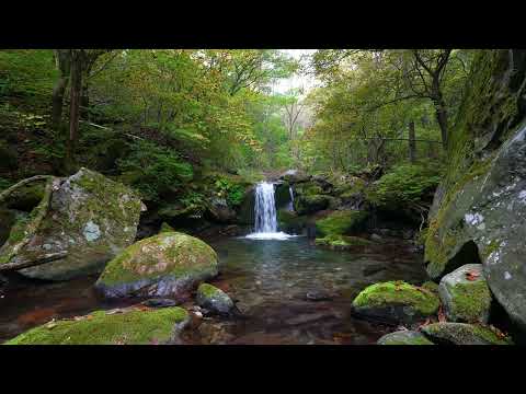 Mountain Small Waterfall, , Birds Chirping, Flowing Water