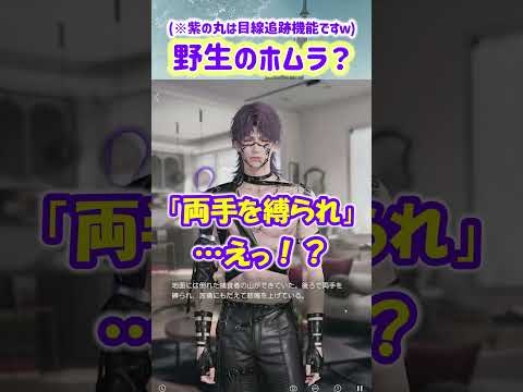 【恋と深空 ネタバレ注意】ご主人様のために頑張る出稼ぎホムにゃんかな？(※泣く子も黙る捕食者です)【実況 ホムラ/タミーノ 思念ストーリー 狂熱の用量】 #恋と深空 #恋と深空実況 #Shorts