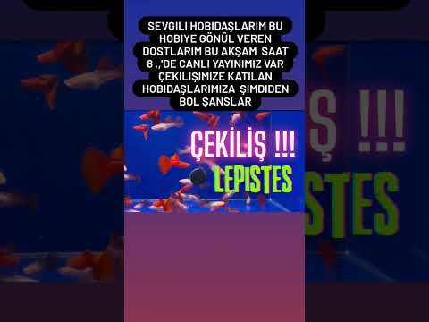 17 Mart 2024