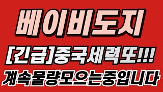 [베이비도지 코인 전망] 🚨긴급🚨중국세력 또!!!! 계속 물량 모으는 중입니다!