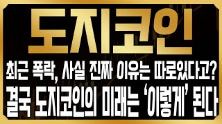 [도지 코인전망] 최근 도지코인이 약세를 보이는 진짜 이유는 따로 있다? 도지코인의 미래는 '이렇게' 된다고?? #DOGE