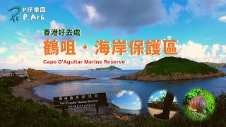 Cape D'Aguilar Marine Reserve | Travel Hong Kong | English Subtitles | P.Ark (2019)