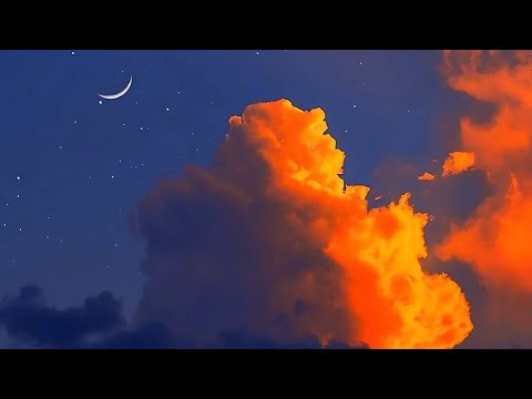 獨自工作的一天 | Lofi |Study with me |For relax