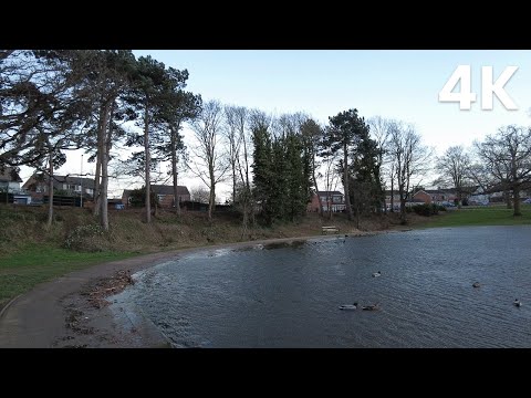 Serenity by the lakeside with the ducks (Nature Visualizer)