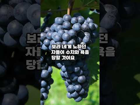 이사야 41장 : "참으로 내가 너를 도와주리라" #성경#말씀#하나님의도움