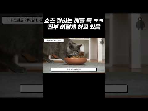 쇼츠 잘하는 애들 특 ㅋㅋ 전부 이렇게 하고 있음