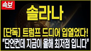 [솔라나 코인] 긴급속보! 트럼프 드디어 입열었다! "단언컨데 지금이 올해 최저점 입니다!". #솔라나코인전망 #솔라나호재 #솔라나 #솔라나목표가 #솔라나대응 #솔라나코인 #sol