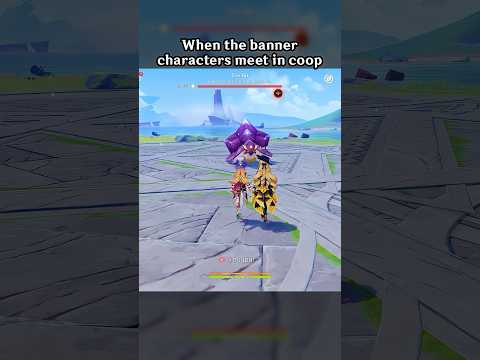 WHEN THE BANNER CHARACTERS MEET IN COOP