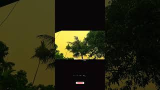 Tere Bin x Sajni Love Song with Rain Sounds |Limon"s Creation|#love