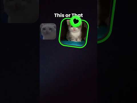 decidiendo gatos xd